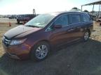 HONDA ODYSSEY EX photo