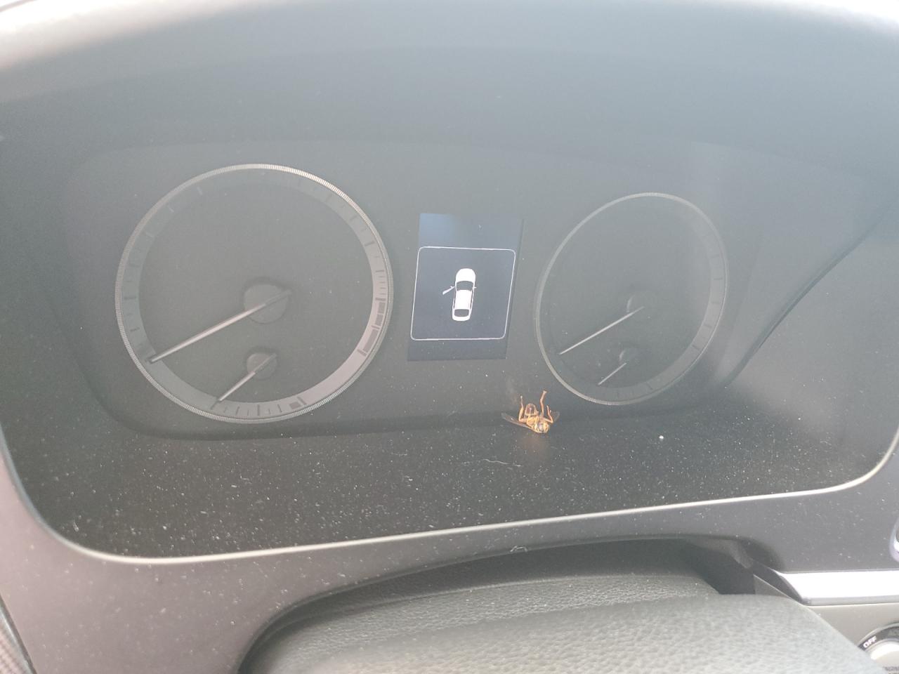 5NPE34AF8HH548012 2017 Hyundai Sonata Sport