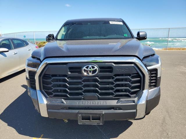 2023 TOYOTA TUNDRA DOU - 5TFLA5AA3PX022431