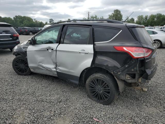 2013 Ford Escape Sel VIN: 1FMCU0HX0DUB22449 Lot: 60767724