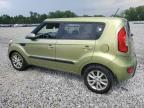 KIA SOUL + photo