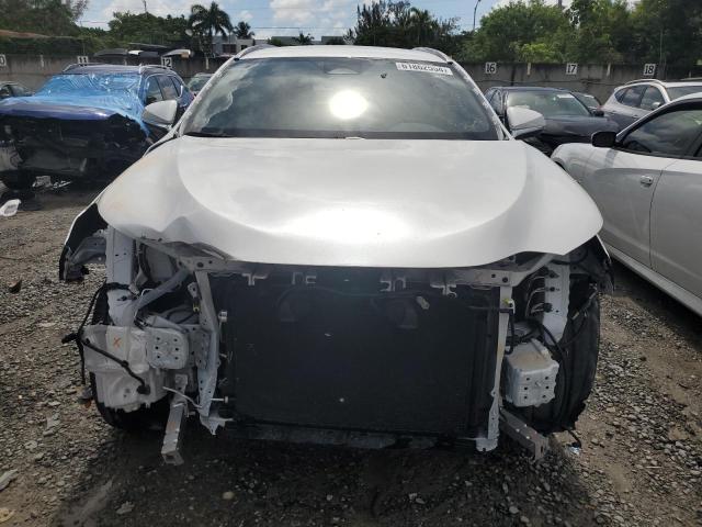 2023 LEXUS NX 250 JTJADCAZ3P2006300