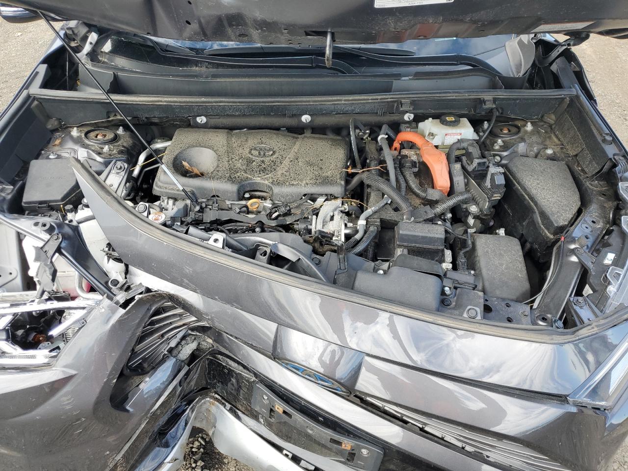 2T3E6RFV1MW020559 2021 Toyota Rav4 Xse