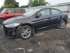 HYUNDAI ELANTRA SE photo