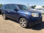 HONDA PILOT EX photo