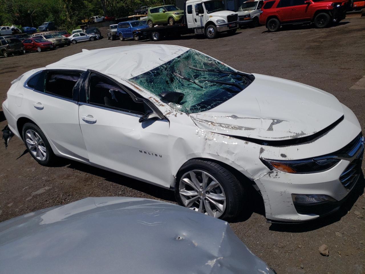 Lot #2716469636 2024 CHEVROLET MALIBU LT