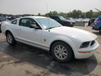 FORD MUSTANG photo