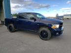 DODGE RAM 1500 S photo