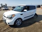 KIA SOUL + photo