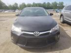 TOYOTA CAMRY LE photo