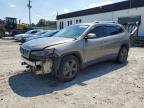 2019 JEEP CHEROKEE L - 1C4PJLLB5KD455867