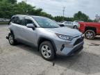 TOYOTA RAV4 XLE photo