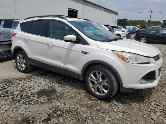 2013 Ford Escape Sel VIN: 1FMCU9H99DUD62461 Lot: 61803454