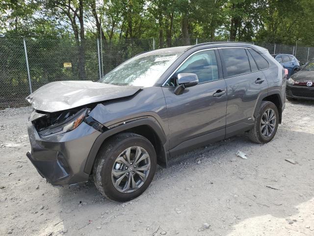 2024 TOYOTA RAV4 XLE P 4T3B6RFV6RU160682  60468284