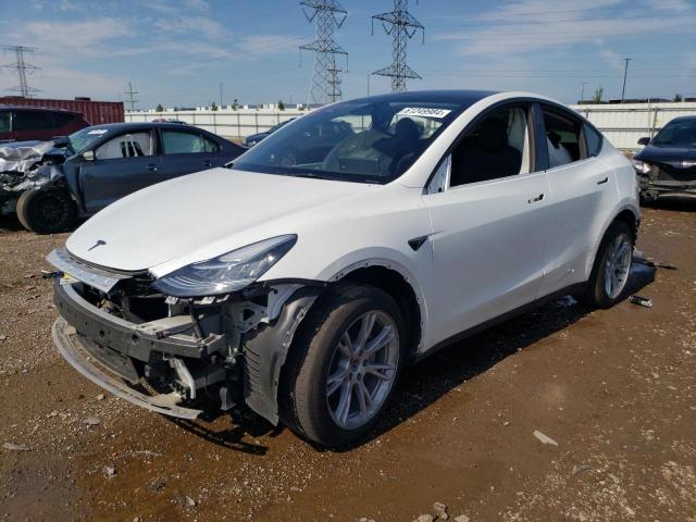 2023 TESLA MODEL Y - 7SAYGDEE4PA079484