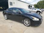 NISSAN MAXIMA S photo