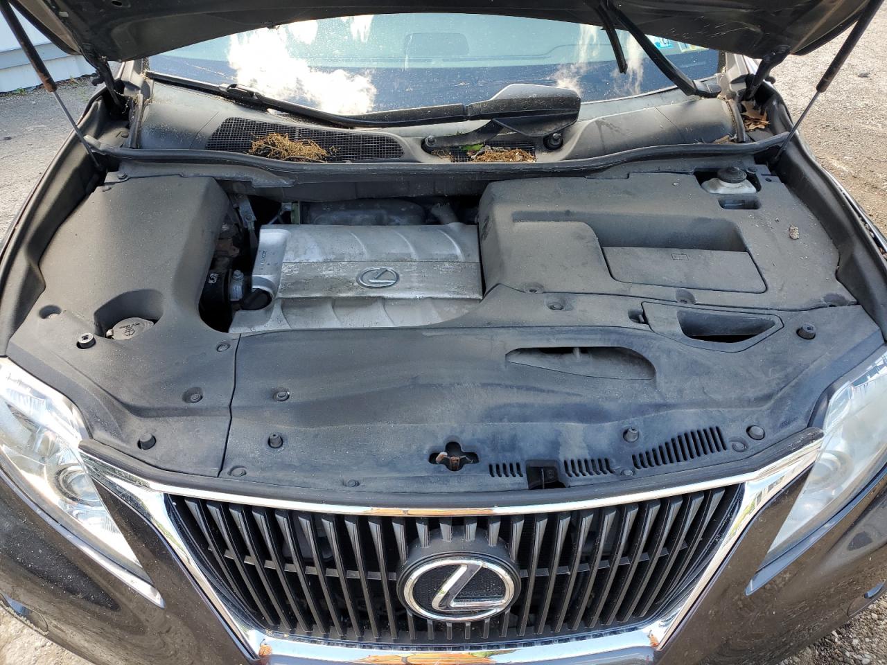 2T2BK1BAXAC033492 2010 Lexus Rx 350