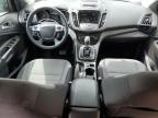 Lot #3024628602 2014 FORD ESCAPE SE