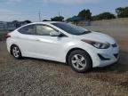 HYUNDAI ELANTRA SE photo