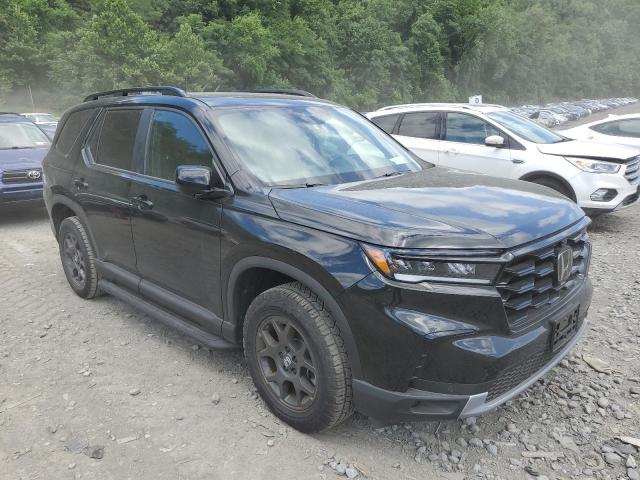 2024 HONDA PILOT TRAI 5FNYG1H69RB004060