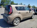 KIA SOUL + photo