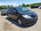 TOYOTA SIENNA LE photo