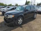 FORD ESCAPE XLT photo