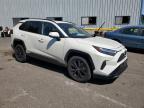 TOYOTA RAV4 SE photo