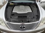 LEXUS LS 460 photo