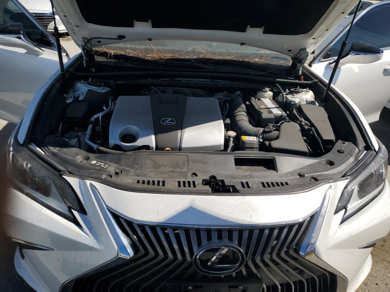 58ABZ1B17KU048802 2019 Lexus Es 350