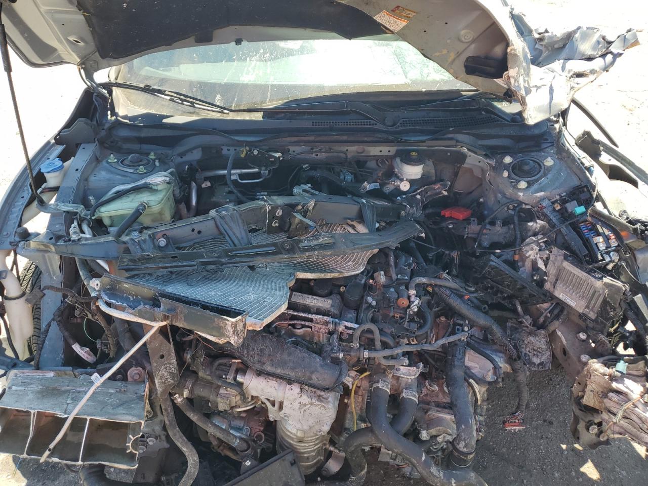 SHHFK7H61KU407785 2019 Honda Civic Ex