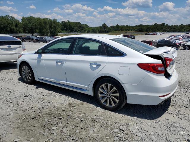 2016 HYUNDAI SONATA SPO - 5NPE34AF5GH396916