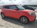 KIA SOUL + photo