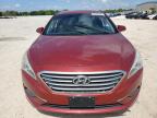 HYUNDAI SONATA SE photo