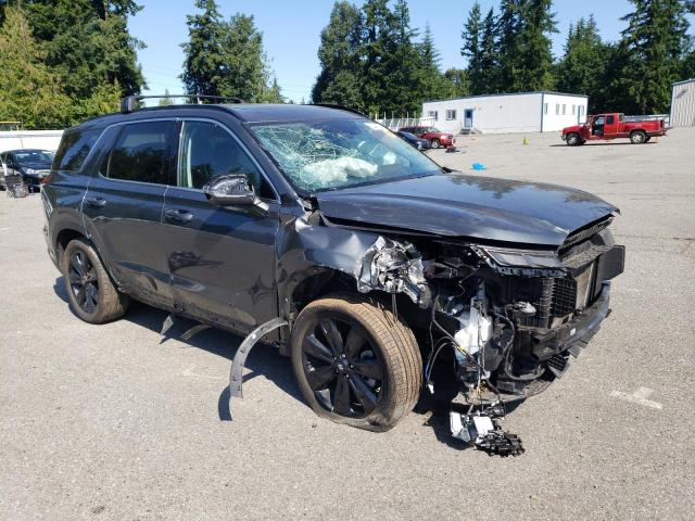 2023 Hyundai Palisade Xrt VIN: KM8R3DGE5PU600700 Lot: 62441374