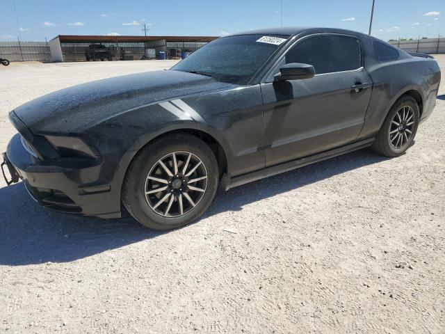 2013 Ford Mustang VIN: 1ZVBP8AM8D5226846 Lot: 61250224