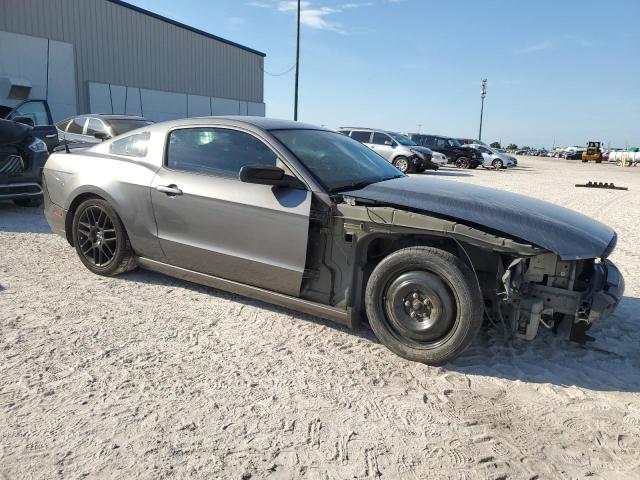 2014 Ford Mustang VIN: 1ZVBP8AMXE5298360 Lot: 62523694