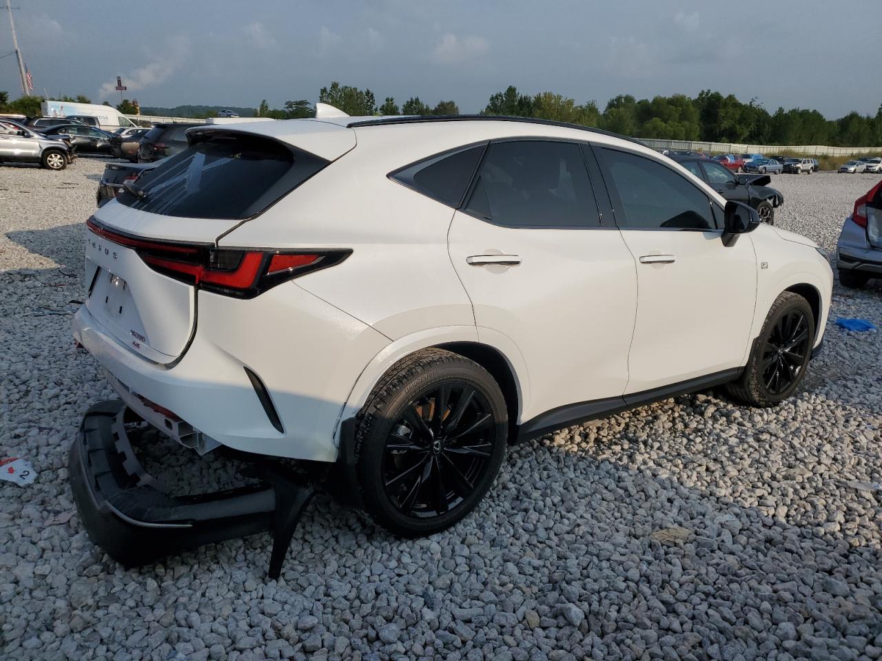 Lot #2972475808 2024 LEXUS NX 350 LUX