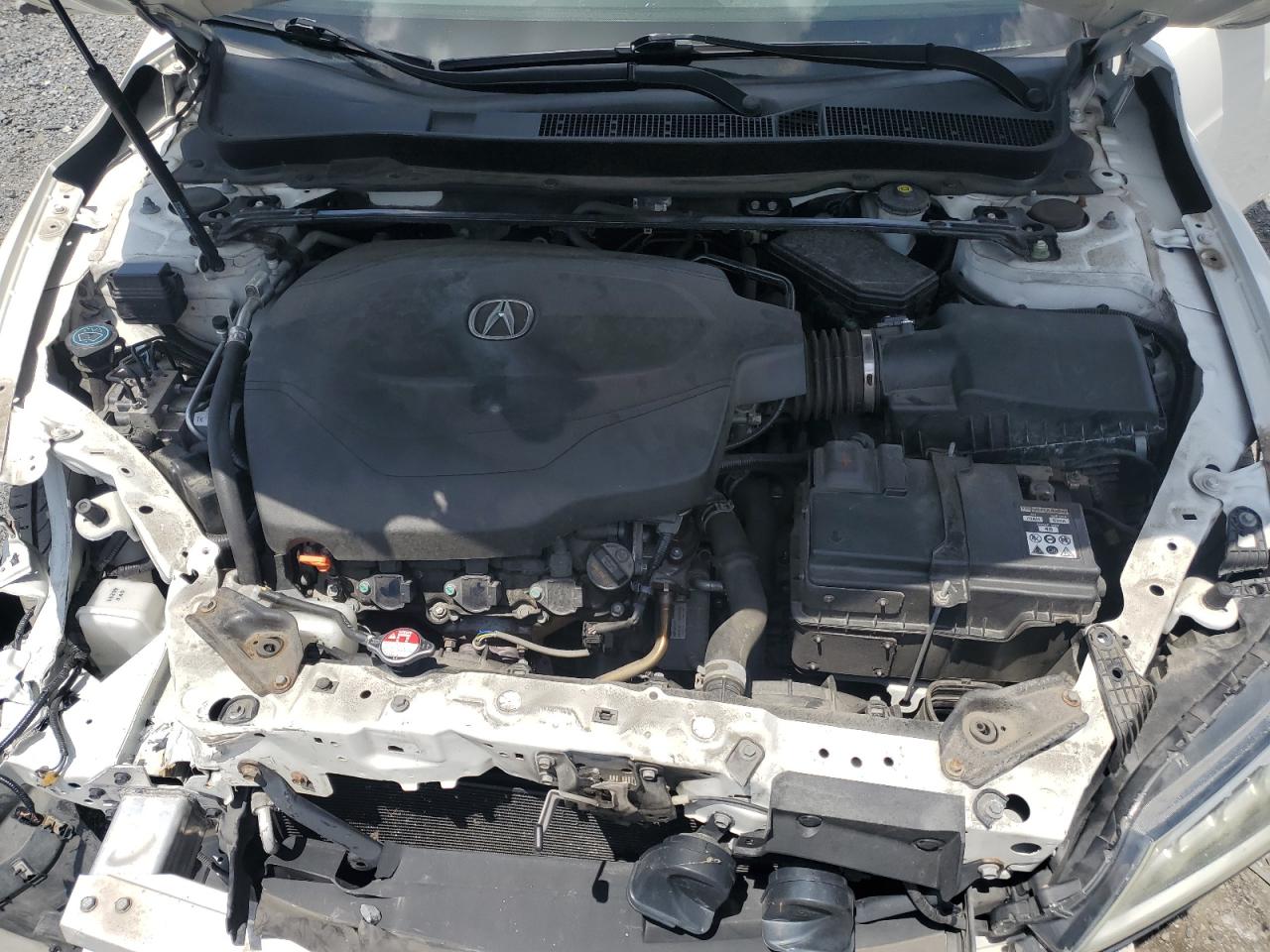 19UUB2F50HA003384 2017 Acura Tlx Tech