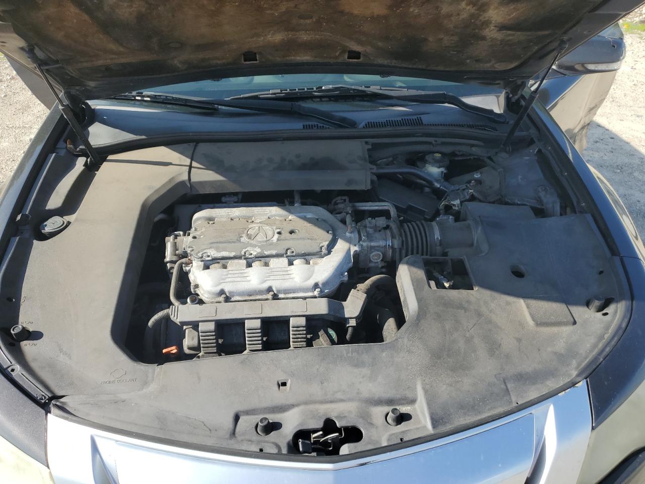 19UUA8F24AA006838 2010 Acura Tl