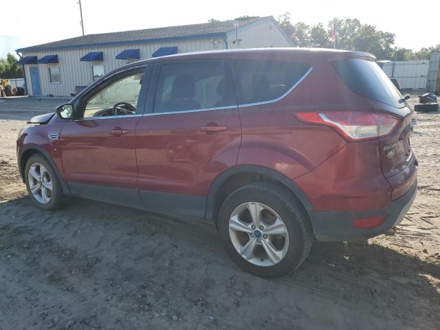 VIN 1FMCU0G9XDUD22161 2013 Ford Escape, SE no.2