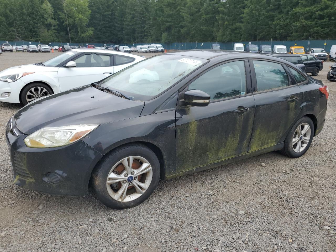 2014 Ford Focus Se vin: 1FADP3F23EL433251