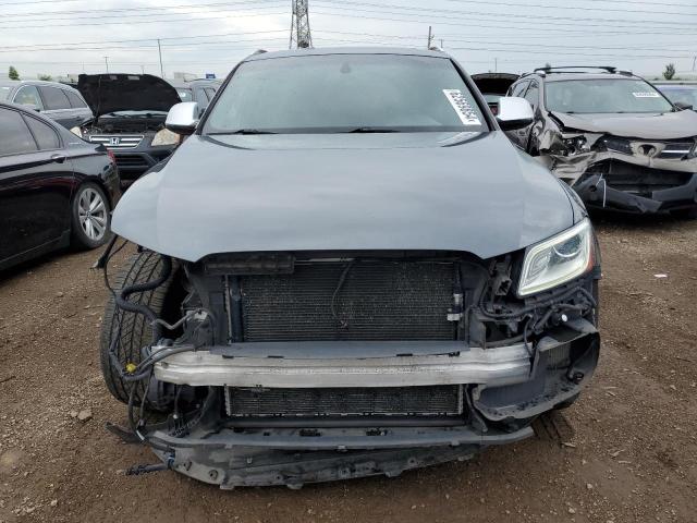 2016 Audi Sq5 Premium Plus VIN: WA1CCAFP5GA062345 Lot: 62569854