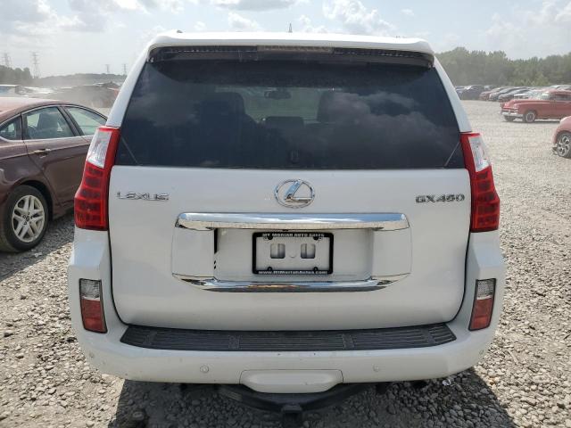 2010 Lexus Gx 460 VIN: JTJBM7FX0A5009812 Lot: 63077584