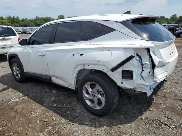 2024 HYUNDAI TUCSON SE - 5NMJA3DE4RH358952