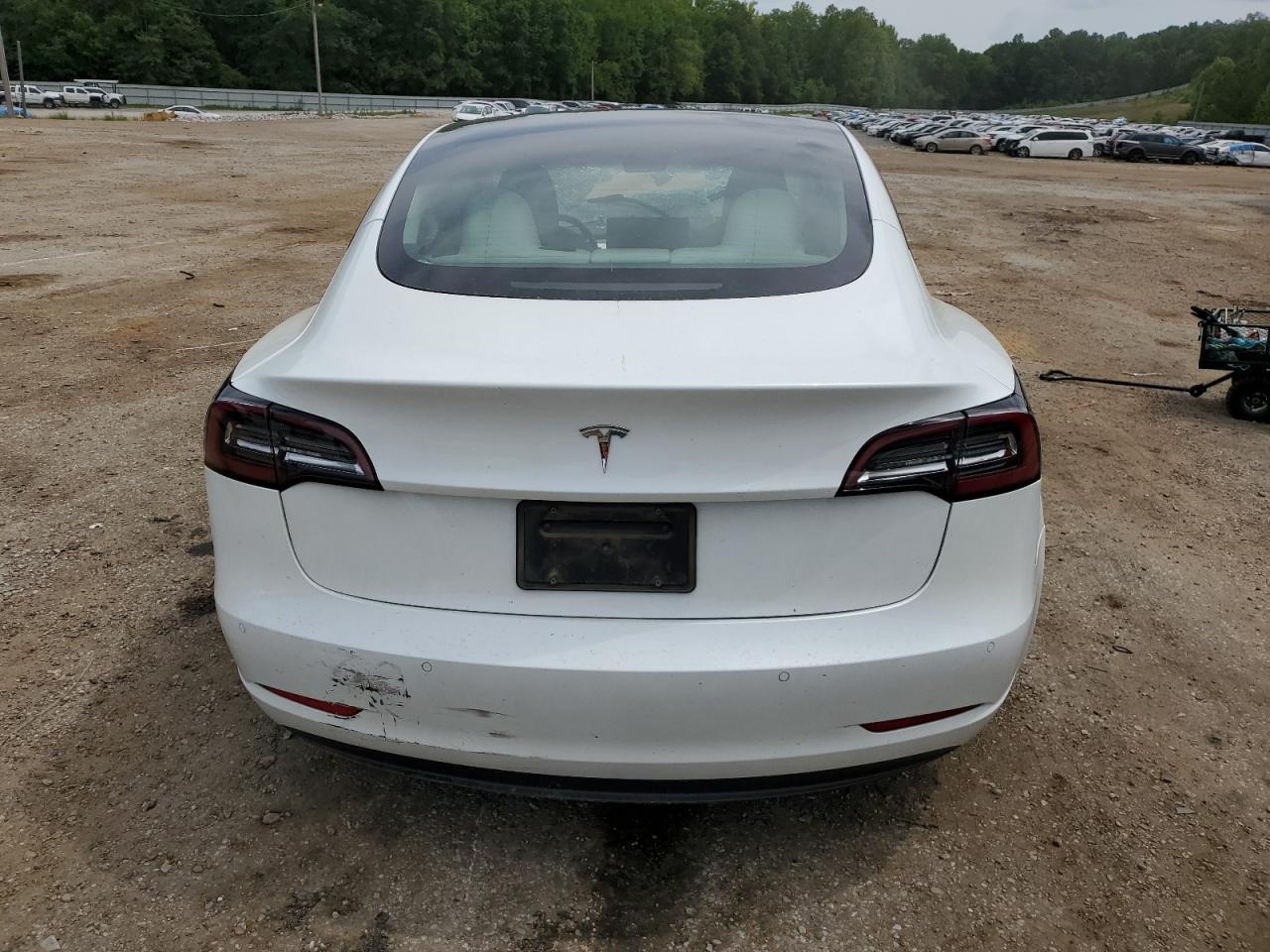 Lot #2902794215 2022 TESLA MODEL 3