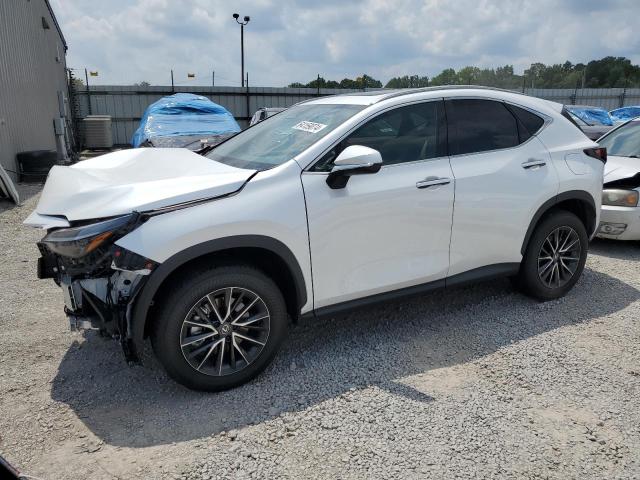 2024 LEXUS NX 350H BASE 2024