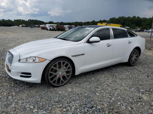 VIN SAJWA2GZXE8V59170 2014 Jaguar XJL, Portfolio no.1