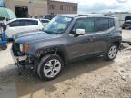 JEEP RENEGADE L photo