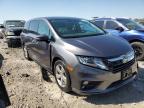 HONDA ODYSSEY EX photo